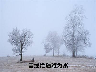 后续+全集顾景瑜许清秋（完整版）热文小说阅读-顾景瑜许清秋全文抖音热推