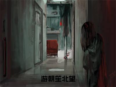 游朝笙北望(游朝笙北望)全网首发最新小说-主角游朝笙北望全文在线免费阅读