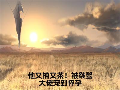 他又撩又茶！被桀骜大佬宠到怀孕（虞之琬谢京墨）小说全文免费阅读无弹窗大结局_他又撩又茶！被桀骜大佬宠到怀孕小说免费阅读最新章节列表笔趣阁（虞之琬谢京墨）