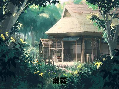 徐宴行沈雾(潮雾)免费阅读无弹窗大结局-潮雾(最新全章节大结局)全文阅读