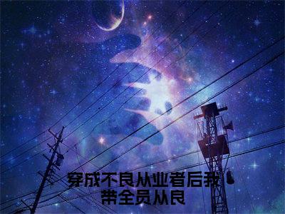 (穿成不良从业者后我带全员从良)全文免费阅读无弹窗大结局_(陆辛夷秦砚阅读无弹窗)穿成不良从业者后我带全员从良最新章节列表