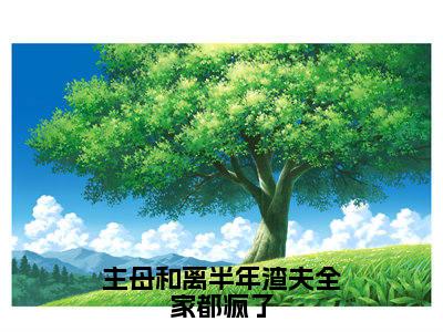 李长英周棠宁是什么小说-(主母和离半年渣夫全家都疯了全文阅读)最新章节列表