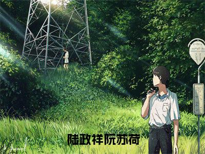 阮苏荷陆政祥(阮苏荷陆政祥)全文免费阅读无弹窗大结局_陆政祥阮苏荷小说最新章节列表_笔趣阁