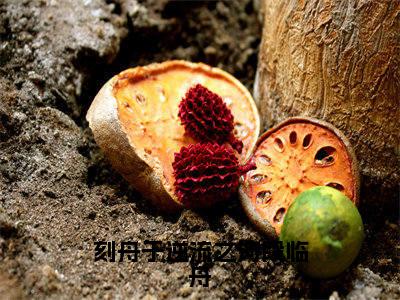 刻舟于逆流之河段临舟全文（向云鹿段临舟）全文免费阅读无弹窗大结局_向云鹿段临舟全文免费阅读最新章节列表