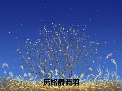 莳羽厉铭爵全文免费阅读无弹窗大结局_厉铭爵莳羽最新章节列表_笔趣阁