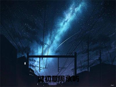 盛初意周承屿盛初意周承屿无广告阅读新上热文盛初意周承屿在线免费读