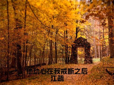 傅时琛江疏全文推荐阅读，他动心在我戒断之后江疏热门榜单免费新书阅读