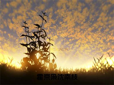 霍京枭沈南枝（沈南枝霍京枭）多人推荐阅读-精选小说（沈南枝霍京枭）完整版免费阅读