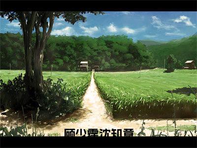 沈知意顾少霆(顾少霆沈知意)全文小说免费阅读-沈知意顾少霆最新章节列表_笔趣阁