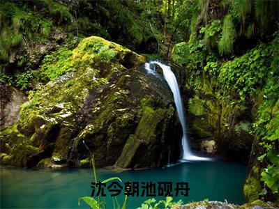 池砚舟沈今朝的小说主角(沈今朝池砚舟)免费阅读_沈今朝池砚舟热搜小说完结版阅读