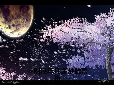 一别经年几多梦陆景珩(虞夕晚陆景珩)全文免费阅读无弹窗大结局_(虞夕晚陆景珩)小说免费阅读无弹窗最新章节列表