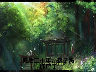 （热推新书）《死后二十年，孩子妈诈尸了》全文免费阅读最新章节大结局-苏柠沈卿礼无弹窗阅读