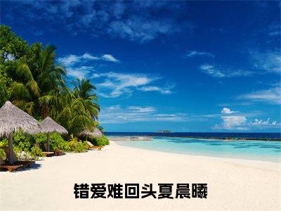 错爱难回头夏晨曦(江盛夏晨曦)老书虫良心推荐小说-错爱难回头夏晨曦(江盛夏晨曦)小说精彩免费试读