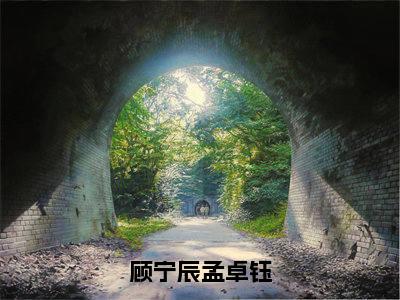 顾宁辰孟卓钰全文免费在线阅读_（顾宁辰孟卓钰免费阅读无弹窗）顾宁辰孟卓钰全文免费完结版阅读