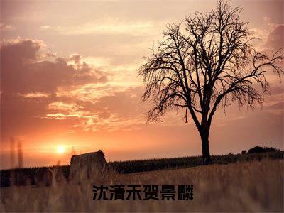 沈清禾贺景麟全文免费在线阅读_（沈清禾贺景麟免费阅读无弹窗）沈清禾贺景麟全文免费完结版阅读