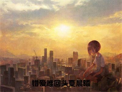 江盛夏晨曦小说(错爱难回头夏晨曦)全文免费阅读无弹窗大结局-错爱难回头夏晨曦最新热点小说