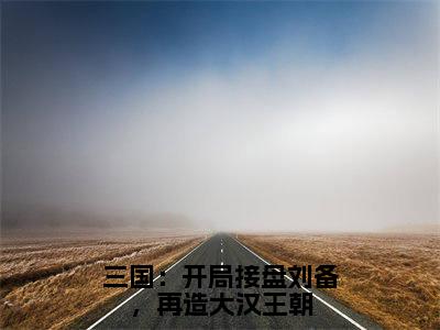 刘琦长篇免费小说，三国：开局接盘刘备，再造大汉王朝最新章节在线阅读