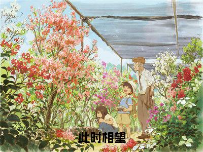 此时相望(苏在野)全文免费阅读无弹窗大结局_此时相望免费阅读最新章节列表_笔趣阁(苏在野)