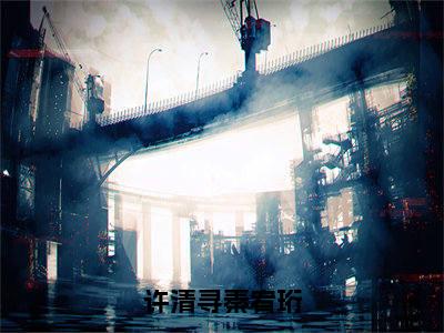 秦宥珩许清寻（许清寻秦宥珩）全文免费阅读无弹窗大结局_（秦宥珩许清寻小说全文免费阅读）最新章节列表