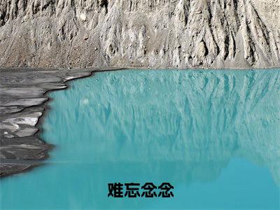 难忘念念（江闻野苏念）全文免费阅读无弹窗大结局_（江闻野苏念免费阅读全文大结局）最新章节列表