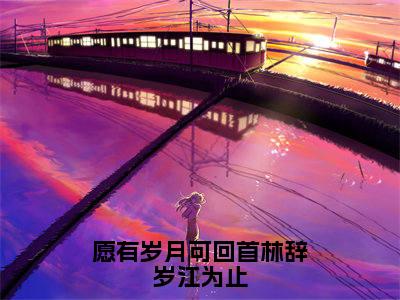 愿有岁月可回首林辞岁江为止（林辞岁江为止全文在线阅读）-愿有岁月可回首林辞岁江为止（林辞岁江为止）免费阅读无删减完整版