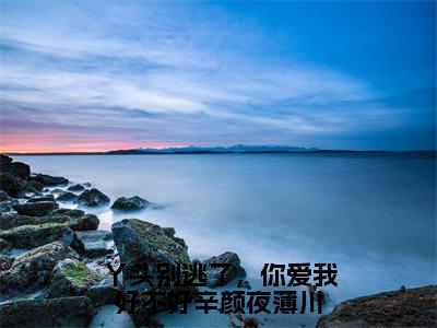 辛颜夜薄川(丫头别逃了,你爱我好不好辛颜夜薄川)全文免费阅读无弹窗大结局-丫头别逃了,你爱我好不好辛颜夜薄川(辛颜夜薄川)小说全文免费阅读最新章节列表