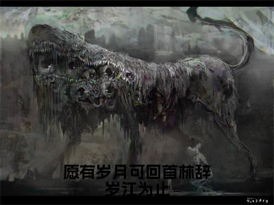 无广告小说愿有岁月可回首林辞岁江为止全文免费阅读无弹窗大结局-林辞岁江为止川在线阅读