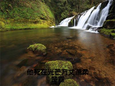 萧柔楚霖全文免费阅读无弹窗大结局_(萧柔楚霖)最新章节列表笔趣阁(他死在光芒万丈萧柔楚霖)