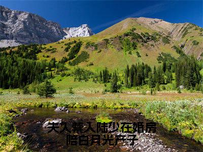 夫人禁入陆少在婚房陪白月光产子全本资源免费阅读结局无删节-乔茵陆一函小说全文阅读无弹窗（夫人禁入陆少在婚房陪白月光产子）