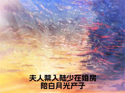 夫人禁入陆少在婚房陪白月光产子（乔茵陆一函）全文免费阅读_夫人禁入陆少在婚房陪白月光产子言诺诺，井傅宸小说最新章节列表笔趣阁