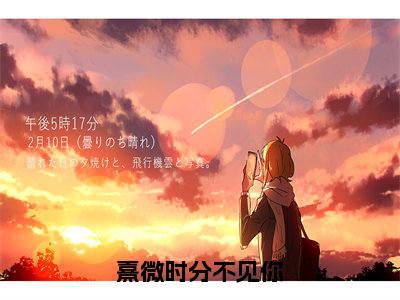 熹微时分不见你（大结局小说全集完整版）司瑾言江若琳小说_熹微时分不见你全文阅读笔趣阁（后续）+（全文）