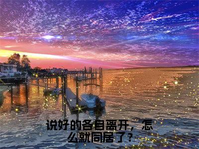 说好的各自离开，怎么就同居了？在线阅读（周默小说）全文免费阅读无弹窗大结局_说好的各自离开，怎么就同居了？免费最新章节列表