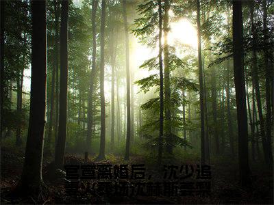 官宣离婚后，沈少追妻火葬场沈赫斯姜梨（沈赫斯姜梨精彩美文）免费阅读-小说沈赫斯姜梨最后结局如何