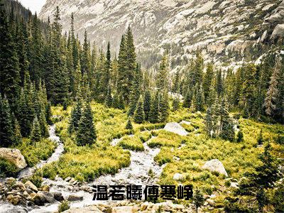 温若曦傅寒峥全文免费阅读无弹窗大结局_（傅寒峥温若曦完结）温若曦傅寒峥小说最新章节列表