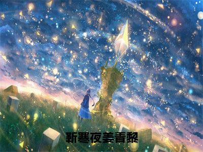 靳寒夜姜青黎(靳寒夜姜青黎)全文免费阅读无弹窗大结局_(靳寒夜姜青黎)免费阅读无弹窗最新章节列表