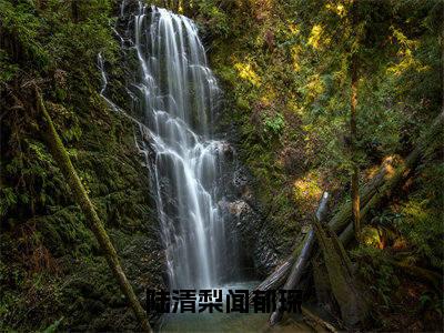 陆清梨闻郁琛（陆清梨闻郁琛）全文免费阅读无弹窗大结局_陆清梨闻郁琛免费阅读最新章节列表_笔趣阁