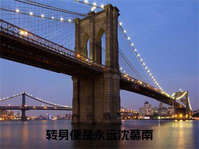 转身便是永远沈慕南（沈慕南）免费小说-沈慕南（转身便是永远沈慕南）全文精彩章节阅读-笔趣阁