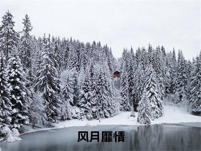 风月靡情(花柒傅九思)完结版小说-风月靡情小说全文免费阅读笔趣阁