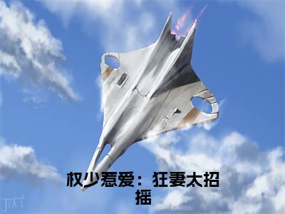 权少惹爱：狂妻太招摇（呈茗竺全文在线阅读）-权少惹爱：狂妻太招摇小说（呈茗竺）免费阅读最新章节列表无弹窗