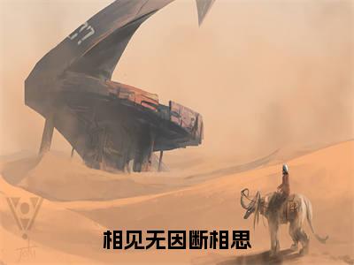 相见无因断相思热推新书小说全文(许昭昭)全文免费阅读_相见无因断相思最新章节无弹窗阅读