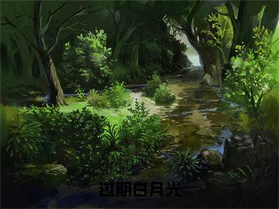 过期白月光（寻童希傅晏）全文免费阅读_过期白月光（寻童希傅晏）章节免费阅读-笔趣阁