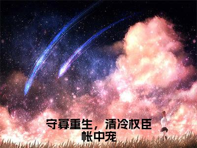 守寡重生,清冷权臣帐中宠(锦瑟)全文免费阅读无弹窗大结局_(守寡重生,清冷权臣帐中宠)最新章节列表