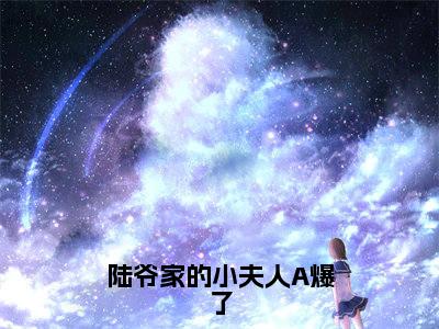 沈知宁(陆爷家的小夫人A爆了)女生必看小说全集_陆爷家的小夫人A爆了(沈知宁)全文免费阅读