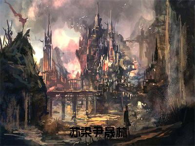 苏染尹晟林（苏染尹晟林）全文免费阅读无弹窗大结局_苏染尹晟林免费试读阅读全文无弹窗