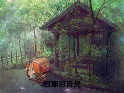 过期白月光(寻童希傅晏)笔趣阁免费小说全文完整版-寻童希傅晏无弹窗免费阅读