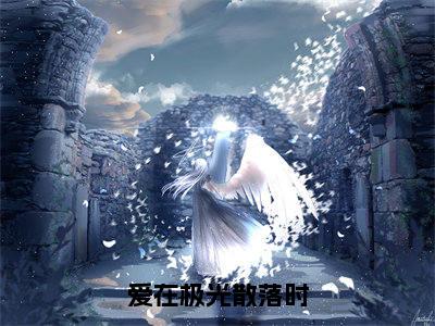 爱在极光散落时免费阅读全文免费阅读无弹窗大结局_(许宏毅于曼文小说免费阅读)爱在极光散落时最新章节阅读