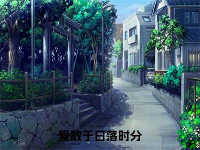 贺闻声宋书窈小说(爱散于日落时分已完结小说全集完整版大结局)爱散于日落时分小说全文阅读笔趣阁