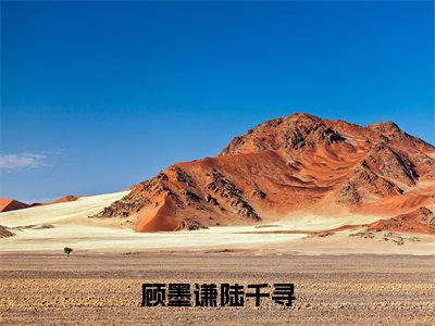 《顾墨谦陆千寻》无弹窗大结局-(顾墨谦陆千寻)无弹窗阅读最新章节列表_笔趣阁