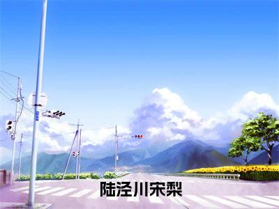 陆泾川宋梨全文免费阅读无弹窗大结局_(陆泾川宋梨阅读无弹窗)陆泾川宋梨最新章节列表