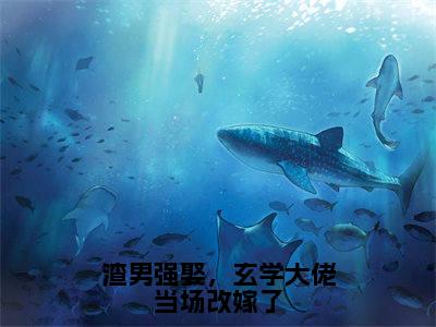 陆明霜全文免费阅读大结局渣男强娶,玄学大佬当场改嫁了小说最新章节阅读无弹窗